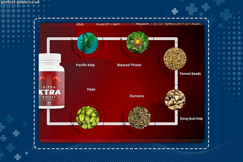 Alpha Xtra Boost Ingredients