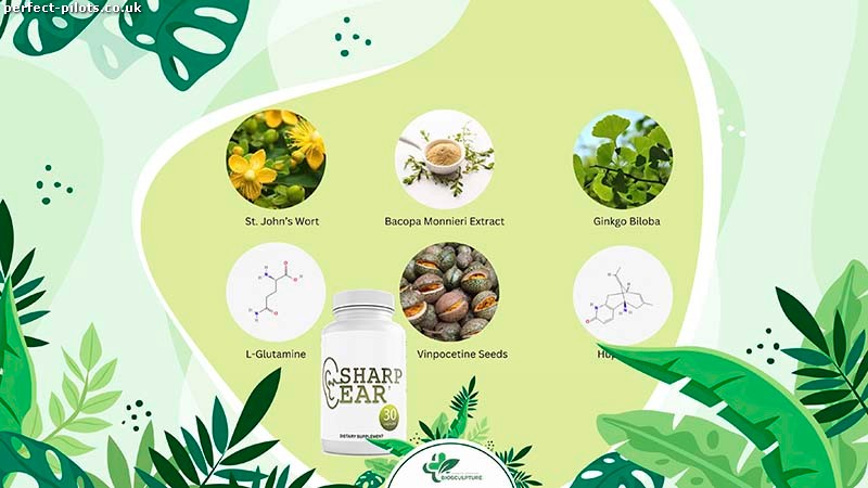 Components and Composition of SharpEar